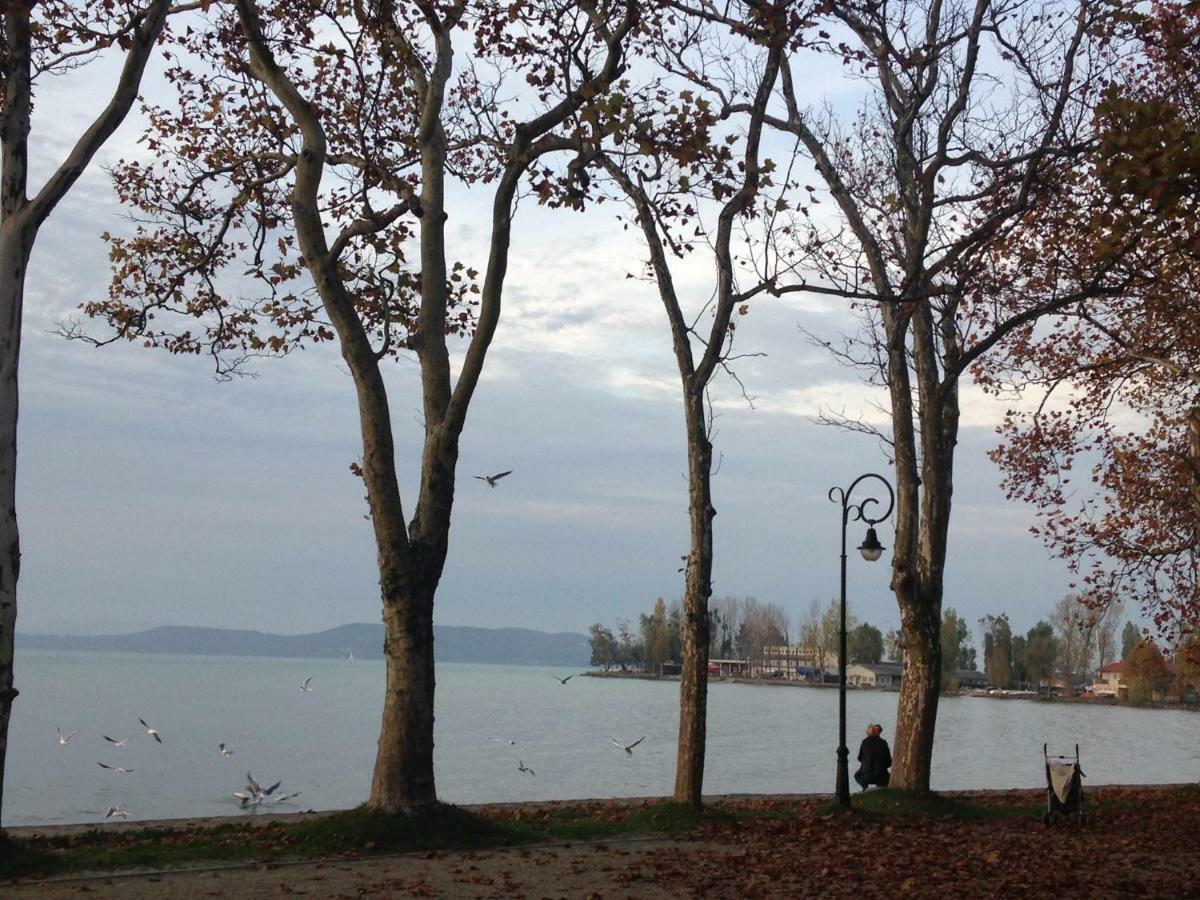 Tamas Apartman Balatonfoeldvar Sziveben- Egesz Evben Nyitva! 外观 照片